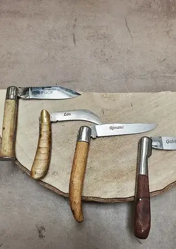 rémouleur à Janzé - image 2