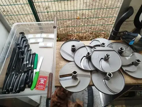 rémouleur à Janzé - image 4